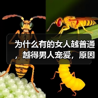 为什么有的女人越普通，越得男人宠爱，原因让人想不到（图3）