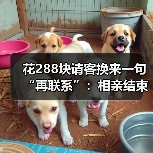 花288块请客换来一句“再联系”：相亲结束对方说再联系但眼神回避大概率没戏（图3）