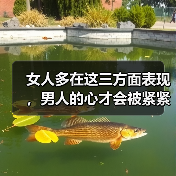 女人多在这三方面表现，男人的心才会被紧紧抓牢，主动珍惜你