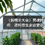 《新相亲大会》灵魂拷问：请问原生家庭要讲求门当户对吗？（图4）