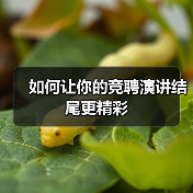 如何让你的竞聘演讲结尾更精彩（图2）
