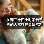 忙到二十四小时不看手机的人不存在只是不想看你(图2) 忙到二十四小时不看手机的人不存在只是不想看你(图2)