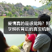 爱情真的是感觉吗?科学解析背后的真实机制(图1) 爱情真的是感觉吗?科学解析背后的真实机制(图1)