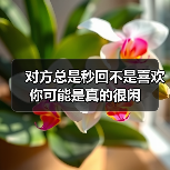 对方总是秒回不是喜欢你可能是真的很闲(图2) 对方总是秒回不是喜欢你可能是真的很闲(图2)