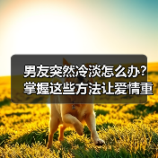 男友突然冷淡怎么办?掌握这些方法让爱情重燃激情(图1) 男友突然冷淡怎么办?掌握这些方法让爱情重燃激情(图1)