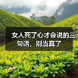 女人死了心才会说的三句话,别当真了(图4) 女人死了心才会说的三句话,别当真了(图4)