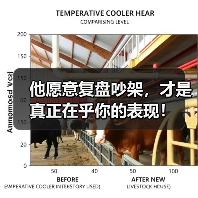 他愿意复盘吵架，才是真正在乎你的表现！（图4）