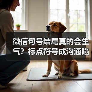 微信句号结尾真的会生气?标点符号成沟通陷阱(图3) 微信句号结尾真的会生气?标点符号成沟通陷阱(图3)