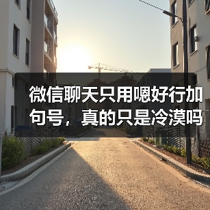 微信聊天只用嗯好行加句号,真的只是冷漠吗?(图4) 微信聊天只用嗯好行加句号,真的只是冷漠吗?(图4)