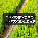 个人述职报告怎么写?5大技巧与核心要点解析(图4) 个人述职报告怎么写?5大技巧与核心要点解析(图4)