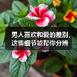 男人喜欢和爱的差别,这些细节能帮你分辨(图4) 男人喜欢和爱的差别,这些细节能帮你分辨(图4)