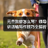 元旦致辞怎么写?领导讲话稿写作技巧全解析(图4) 元旦致辞怎么写?领导讲话稿写作技巧全解析(图4)