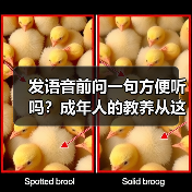 发语音前问一句方便听吗?成年人的教养从这开始(图3) 发语音前问一句方便听吗?成年人的教养从这开始(图3)