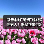 感情中越 感情中越
