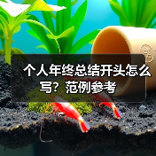 个人年终总结开头怎么写?范例参考(图1) 个人年终总结开头怎么写?范例参考(图1)