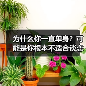 为什么你一直单身?可能是你根本不适合谈恋爱(图3) 为什么你一直单身?可能是你根本不适合谈恋爱(图3)