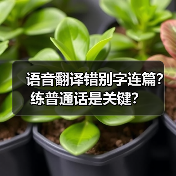 语音翻译错别字连篇?练普通话是关键?(图2) 语音翻译错别字连篇?练普通话是关键?(图2)