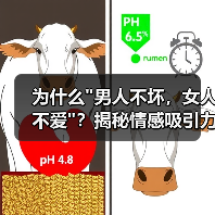 为什么 为什么