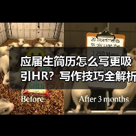 应届生简历怎么写更吸引HR？写作技巧全解析（图1）
