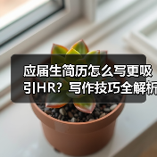 应届生简历怎么写更吸引HR？写作技巧全解析（图3）