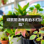 频繁发语音真的不打扰吗?(图3) 频繁发语音真的不打扰吗?(图3)