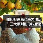 如何打造高竞争力简历？三大原则助你脱颖而出（图2）