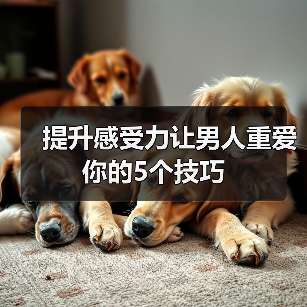 提升感受力让男人重爱你的5个技巧(图1) 提升感受力让男人重爱你的5个技巧(图1)