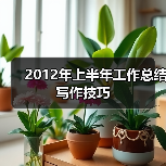 2012年上半年工作总结写作技巧(图4) 2012年上半年工作总结写作技巧(图4)