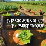 我花300块找人测试了一下:已读不回的真相是他看到了但不想理你(图2) 我花300块找人测试了一下:已读不回的真相是他看到了但不想理你(图2)