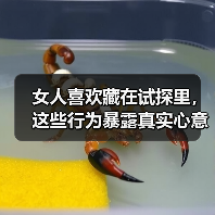 女人喜欢藏在试探里，这些行为暴露真实心意