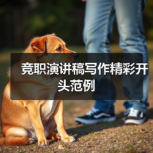 竞职演讲稿写作精彩开头范例(图2) 竞职演讲稿写作精彩开头范例(图2)