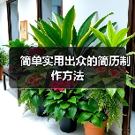 简单实用出众的简历制作方法(图2) 简单实用出众的简历制作方法(图2)