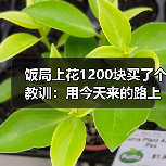 饭局上花1200块买了个教训:用今天来的路上有没有堵车开场比你好更安全(图2) 饭局上花1200块买了个教训:用今天来的路上有没有堵车开场比你好更安全(图2)