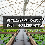 饭局上花1200块买了个教训:不知道该说什么的时候就安静地笑别硬说(图3) 饭局上花1200块买了个教训:不知道该说什么的时候就安静地笑别硬说(图3)