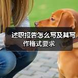 述职报告怎么写及其写作格式要求(图2) 述职报告怎么写及其写作格式要求(图2)
