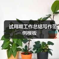 试用期工作总结写作范例模板