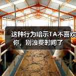 这种行为暗示TA不喜欢你,别浪费时间了(图3) 这种行为暗示TA不喜欢你,别浪费时间了(图3)