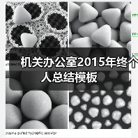 机关办公室2015年终个人总结模板