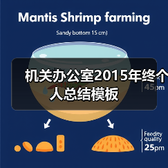 机关办公室2015年终个人总结模板(图2) 机关办公室2015年终个人总结模板(图2)