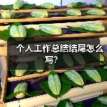 个人工作总结结尾怎么写?(图3) 个人工作总结结尾怎么写?(图3)