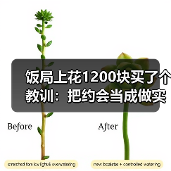 饭局上花1200块买了个教训:把约会当成做实验失败了数据也有价值(图1) 饭局上花1200块买了个教训:把约会当成做实验失败了数据也有价值(图1)