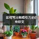 如何写出有吸引力的微商软文(图4) 如何写出有吸引力的微商软文(图4)