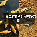 员工打架检讨书写作范例(图2) 员工打架检讨书写作范例(图2)