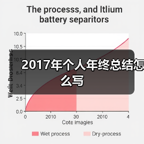 2017年个人年终总结怎么写(图2) 2017年个人年终总结怎么写(图2)