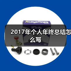 2017年个人年终总结怎么写(图4) 2017年个人年终总结怎么写(图4)