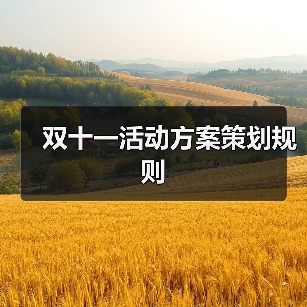 双十一活动方案策划规则(图4) 双十一活动方案策划规则(图4)