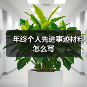 年终个人先进事迹材料怎么写(图2) 年终个人先进事迹材料怎么写(图2)