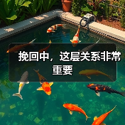 挽回中,这层关系非常重要(图2) 挽回中,这层关系非常重要(图2)