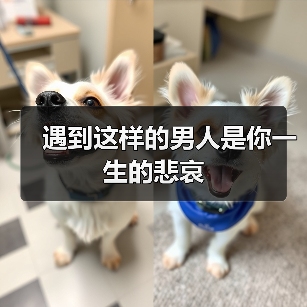 遇到这样的男人是你一生的悲哀(图1) 遇到这样的男人是你一生的悲哀(图1)