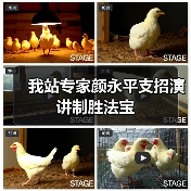 我站专家颜永平支招演讲制胜法宝